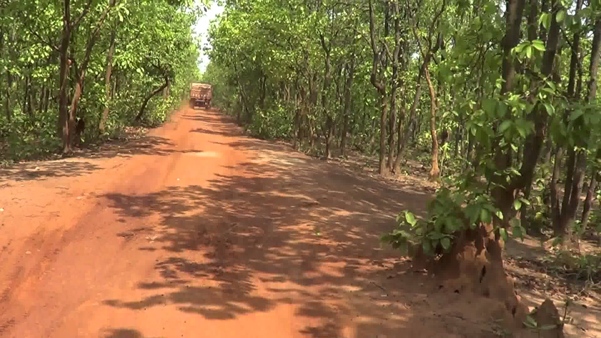 Garh Jungle - Durgapur Image