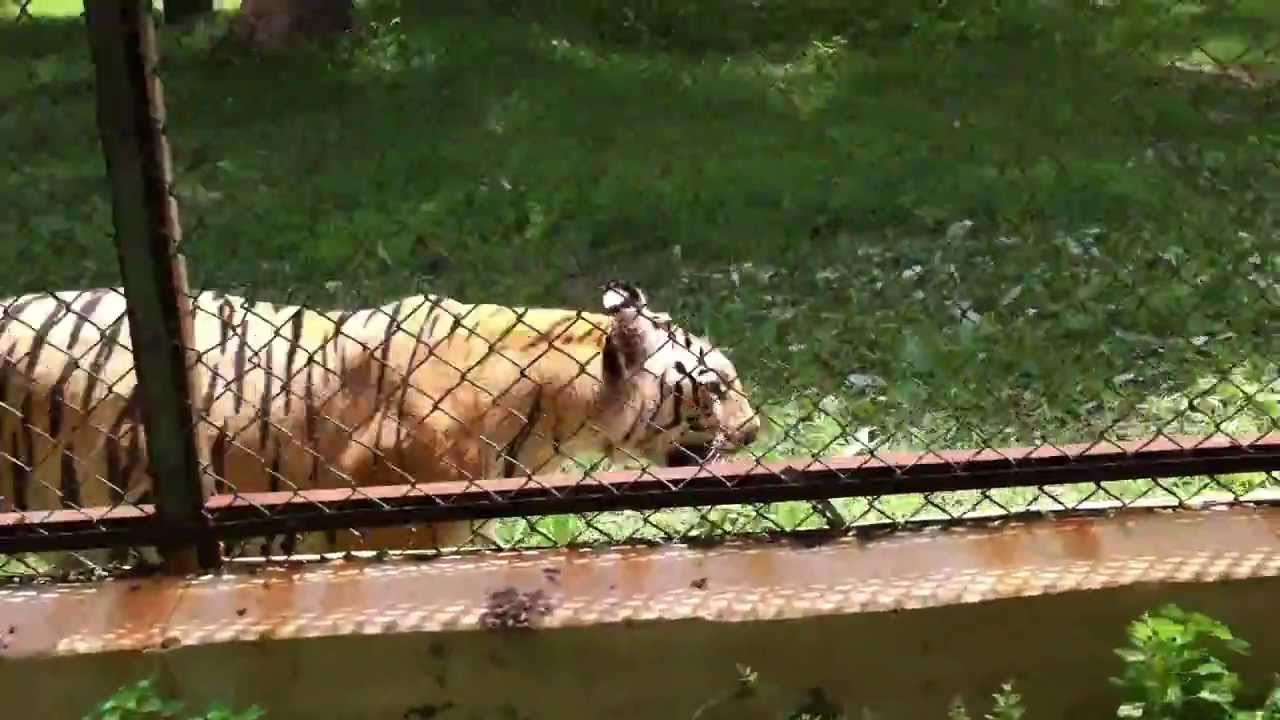 Indroda Nature Park - Gandhinagar Image