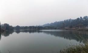 Bhindawas Lake - Rohtak Image