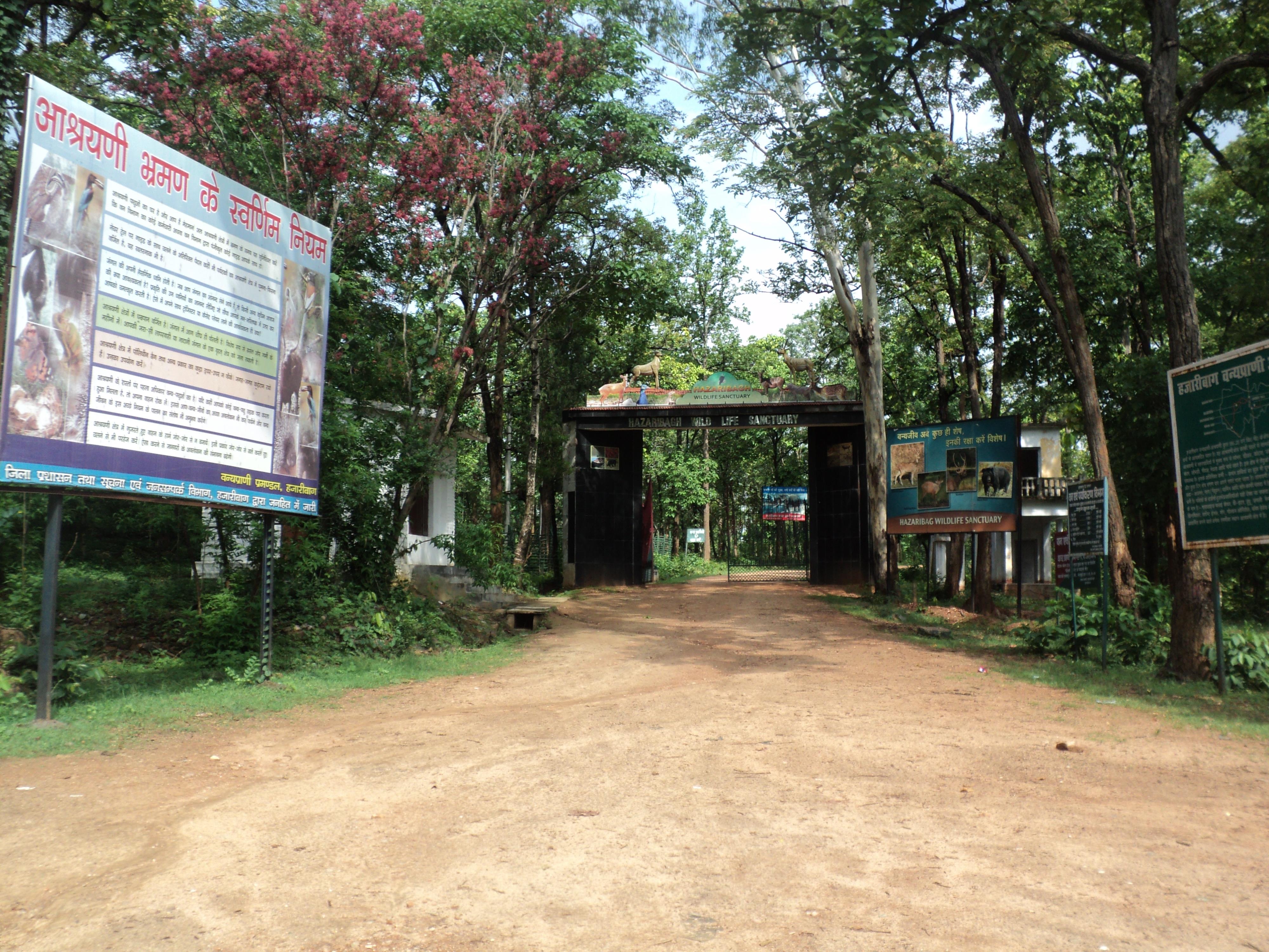 Hazaribagh National Park - Hazaribagh Image