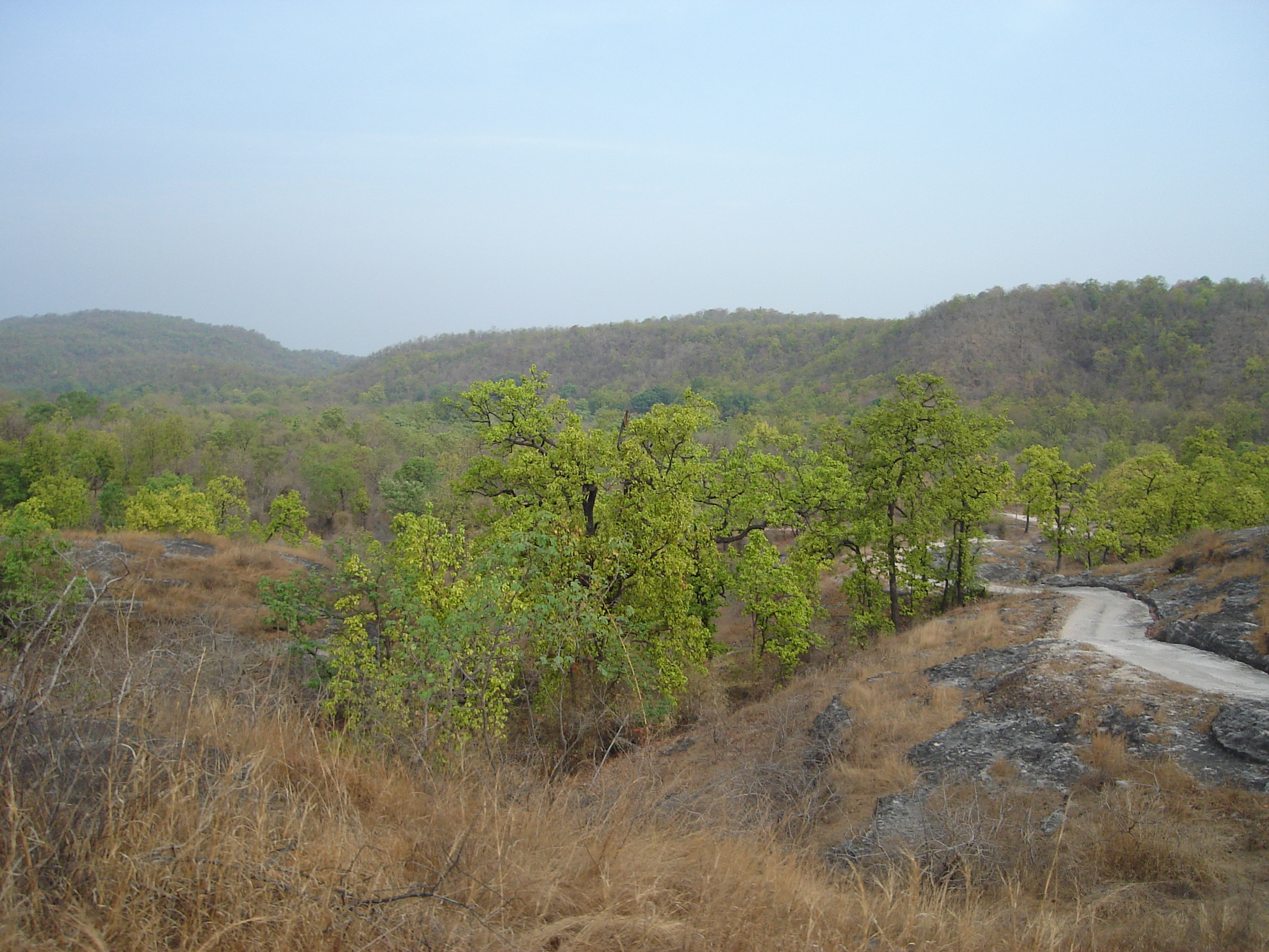 Climbers Point - Bandhavgarh Image