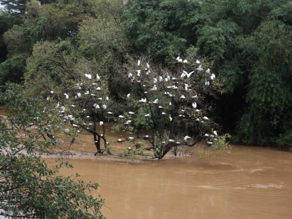 Mandagadde Bird Sanctuary - Shimoga Image