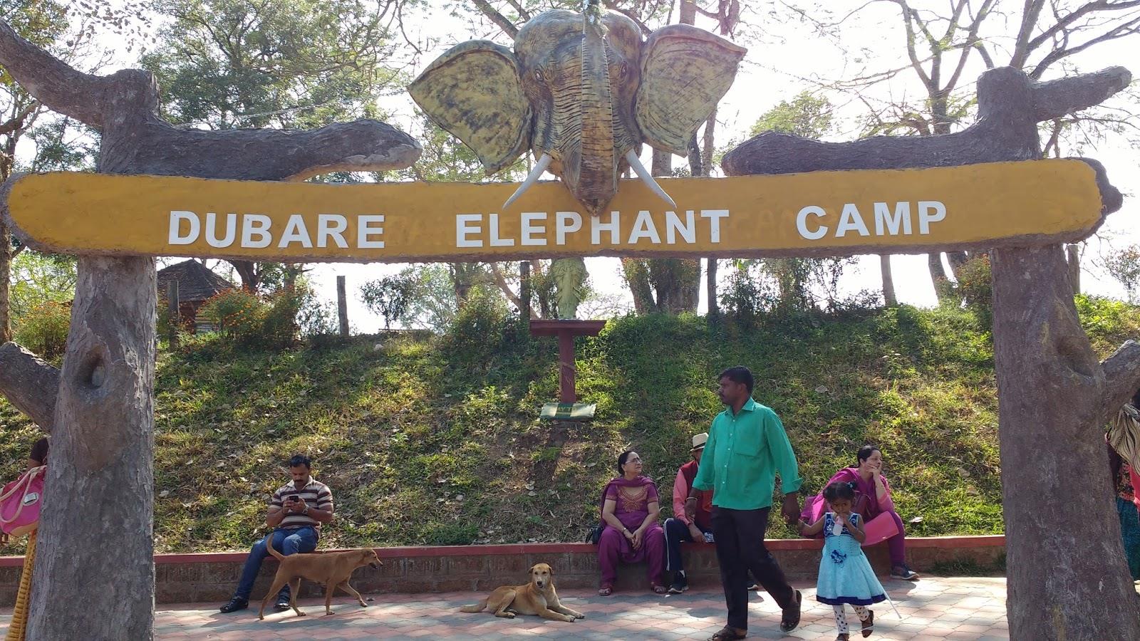 Dubare Elephant Camp - Coorg Image