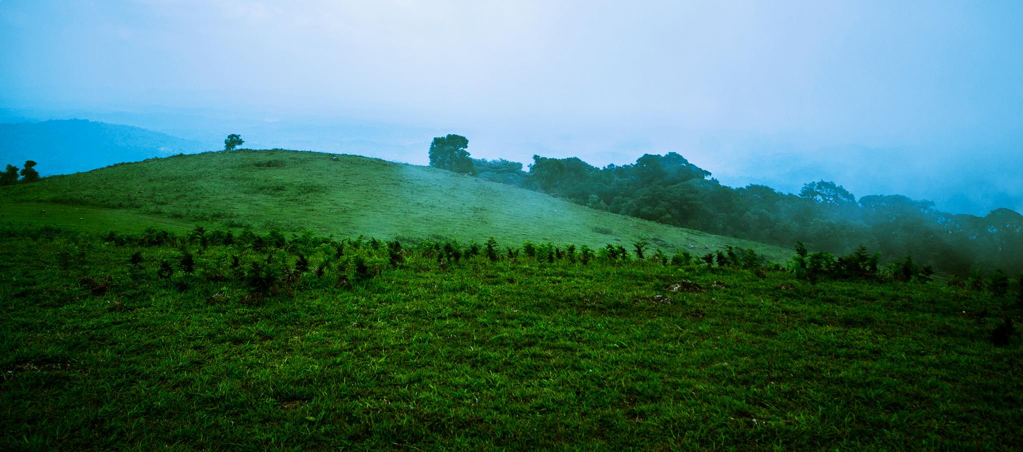 Thadiyandamol Hills - Coorg Image