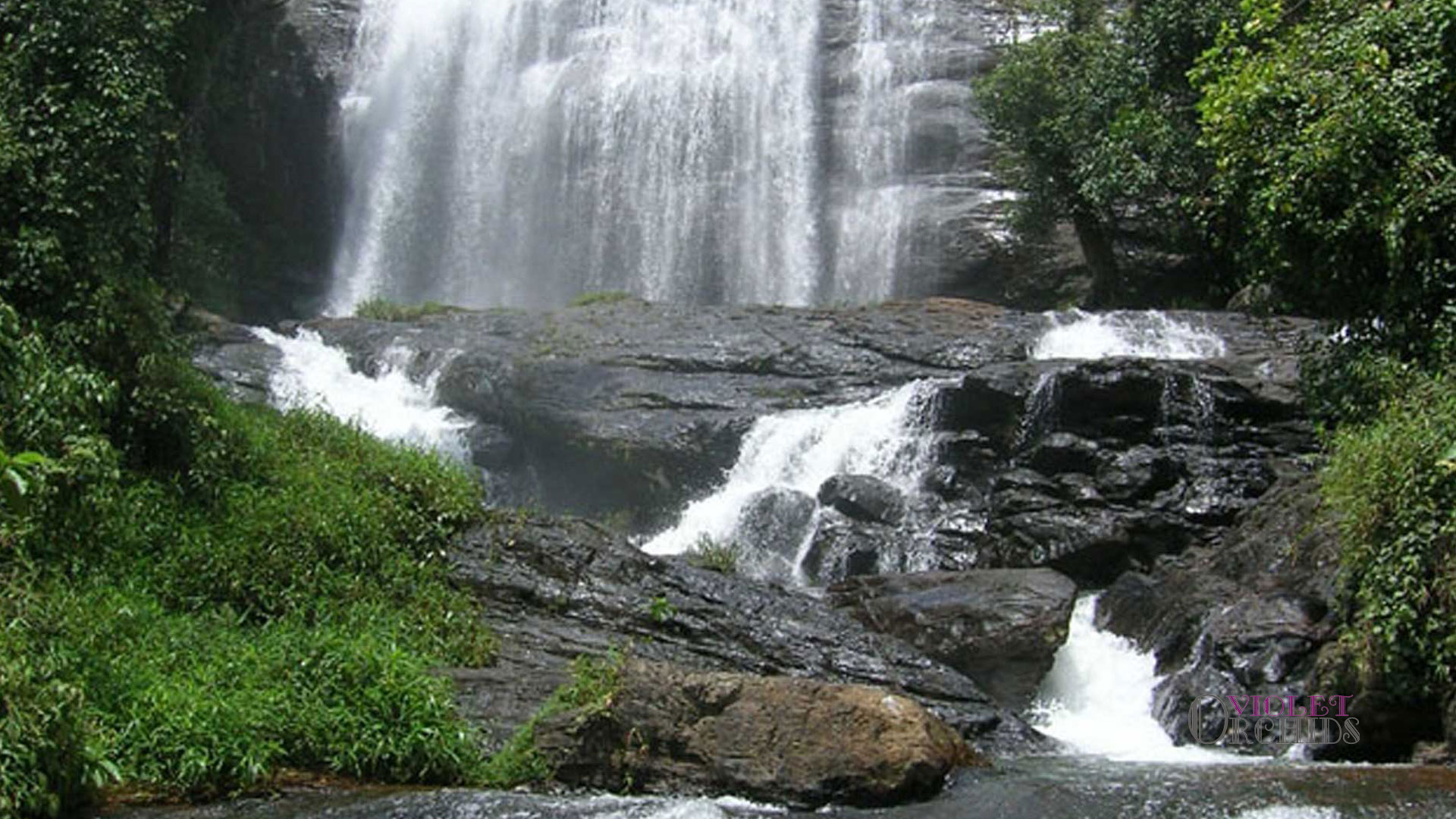 Chelavara Falls - Coorg Image