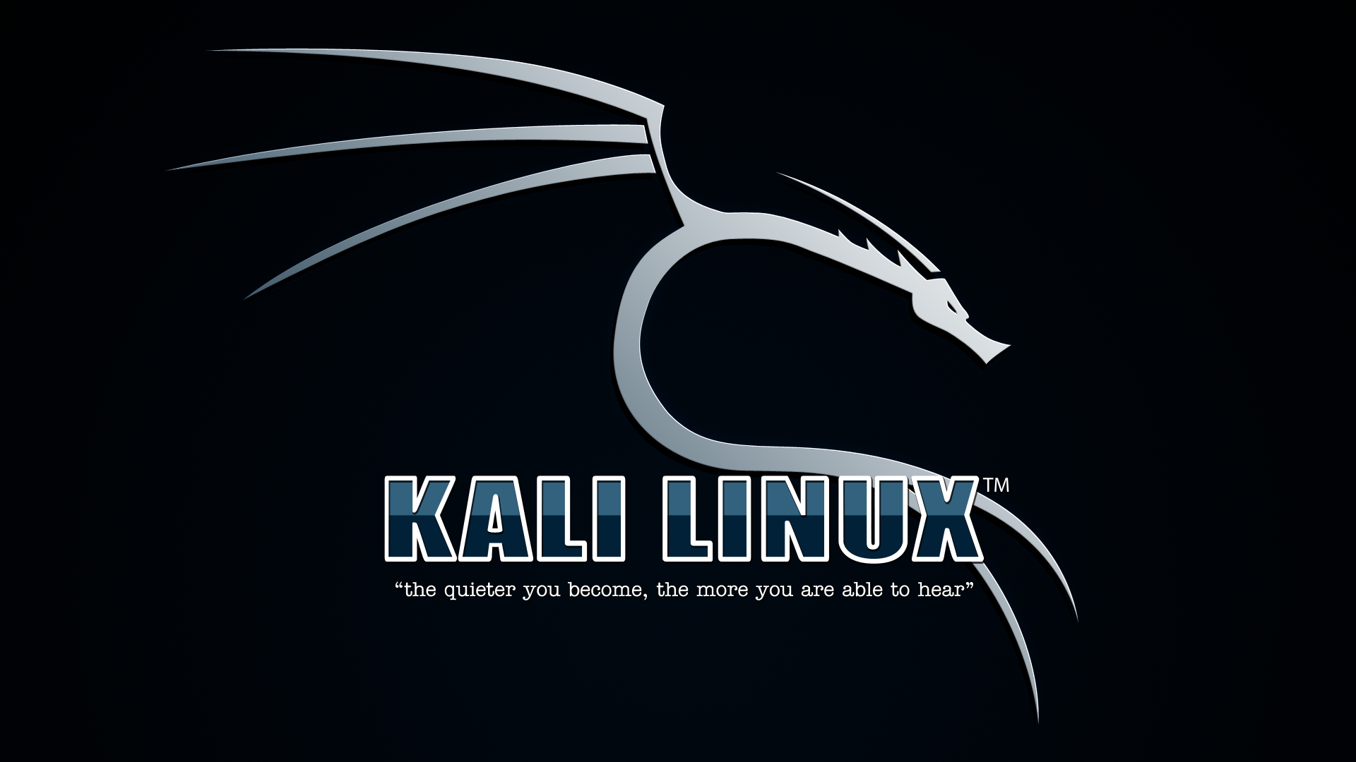 Kali Linux Image