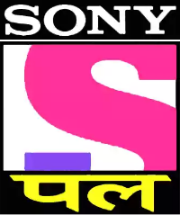 Sony Pal Image