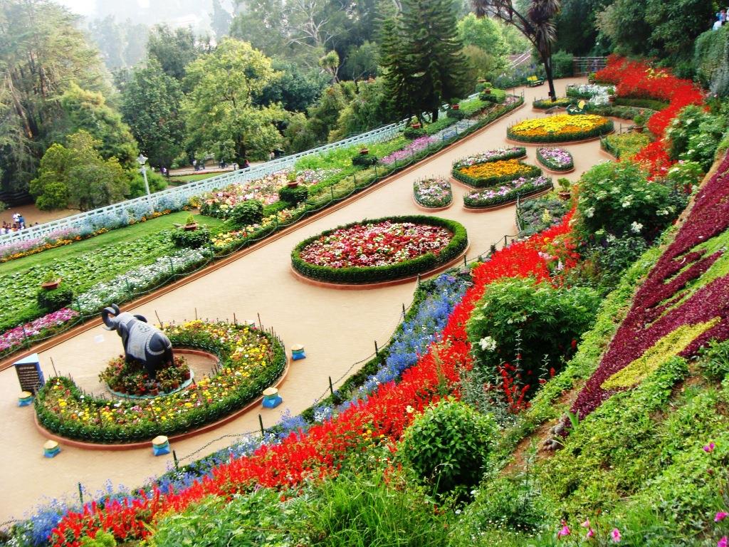 Rose Garden - Chandigarh Image