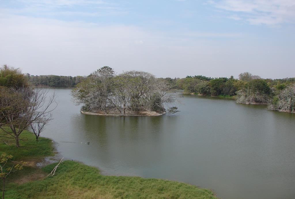 Karanji Lake - Mysore Image