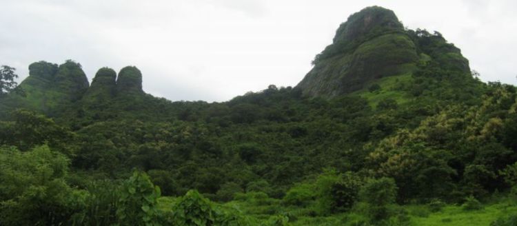 Sarasgad - Pune Image