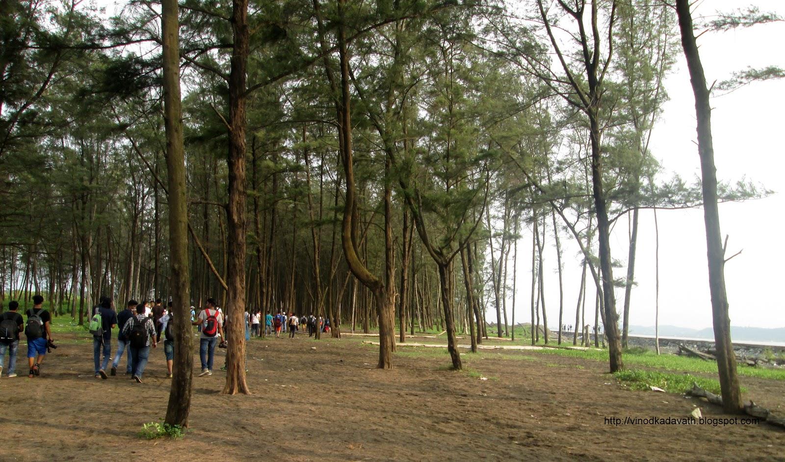 Suruchi Beach - Vasai Image