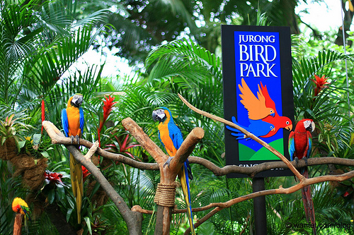 Jurong Bird Park - Singapore Image