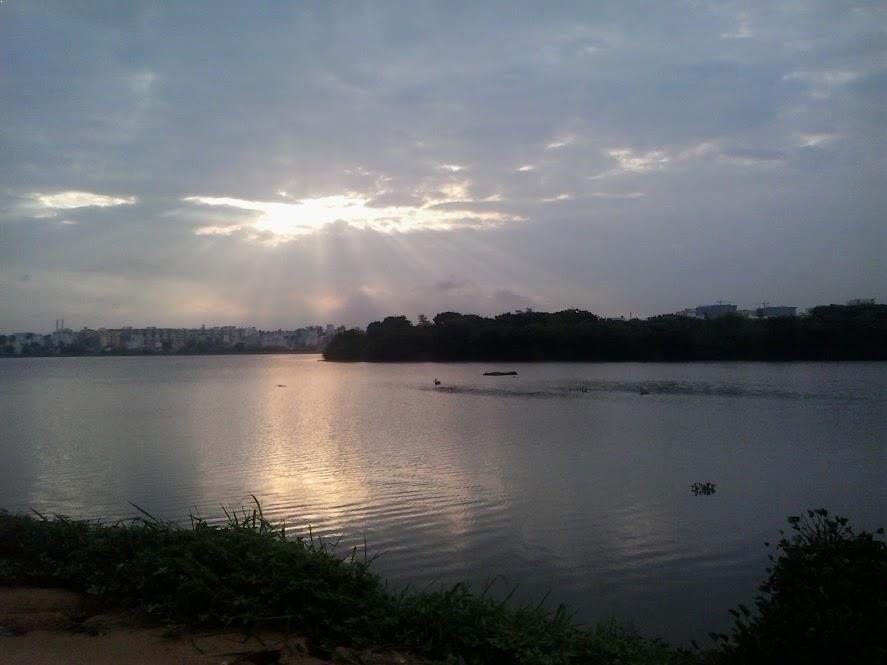Madiwala Lake - Bangalore Image