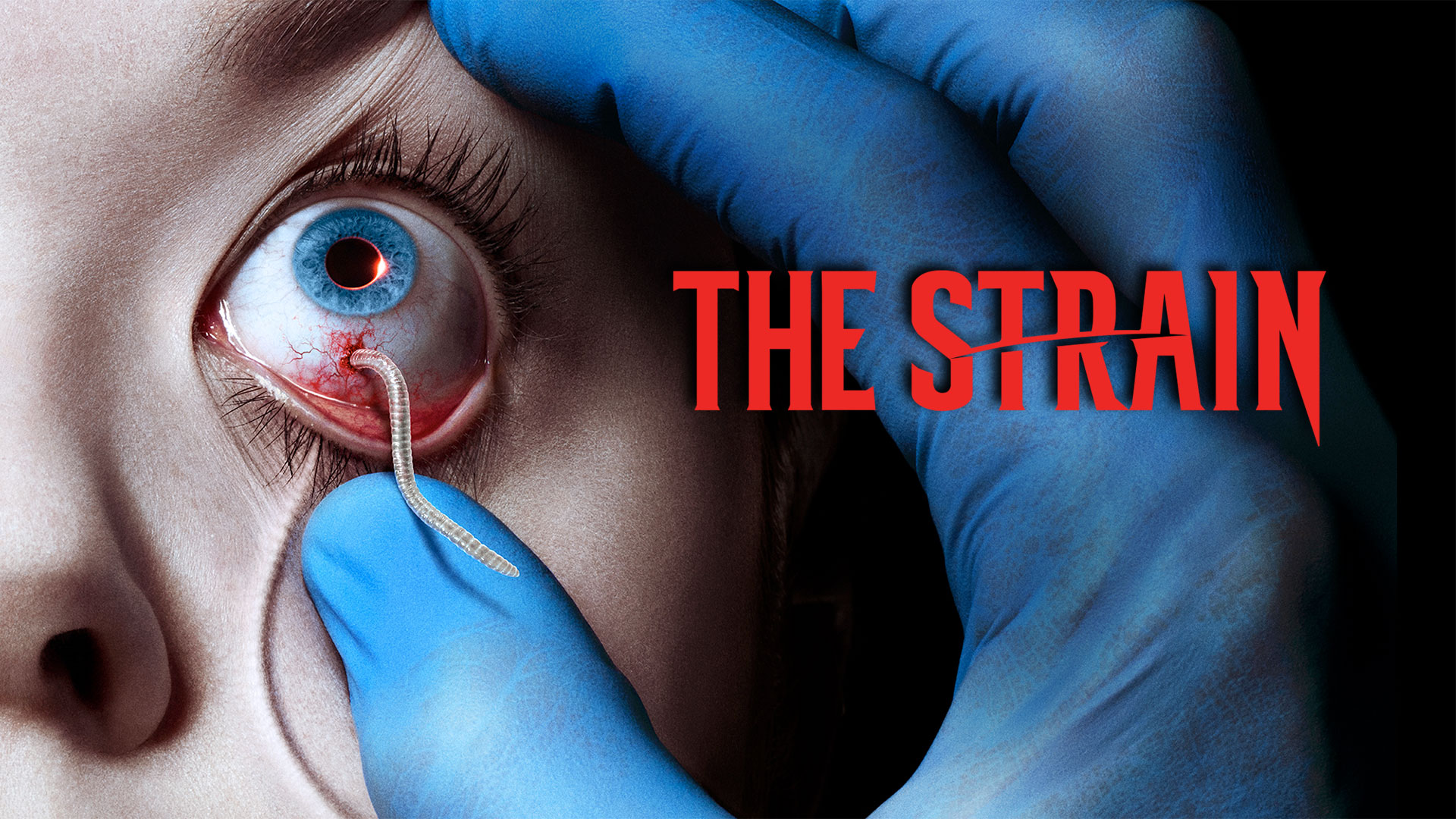 The Strain Image