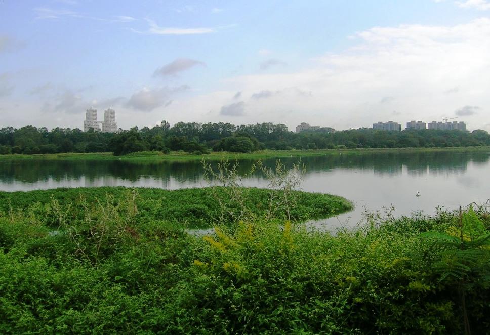 Hebbal Lake Image