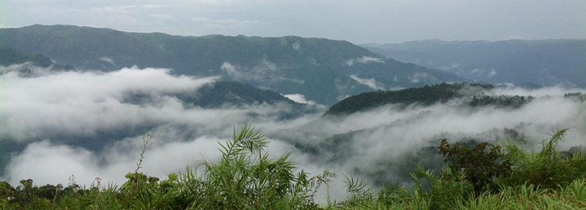 Panchalimedu Hills Image