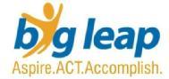 Big Leap Institute of Career Advancement - Mall Road - Delhi Image