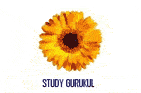 Study Gurukul - Panchshil Park - Delhi Image