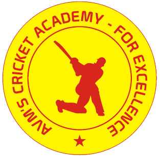 AVM Cricket Academy - Chennai Image