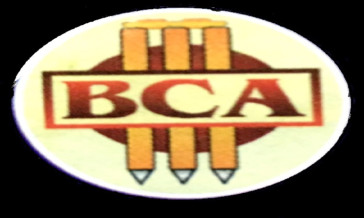 Basavanagudi Cricket Academy - Bangalore Image