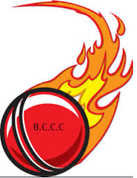 Biswanath Cricket Coaching Center - Kolkata Image