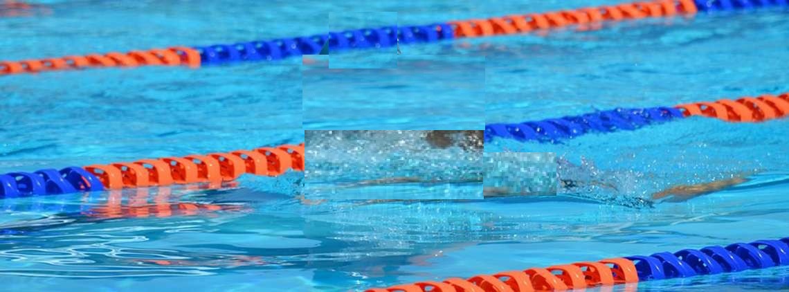 Jayaraman Swimming Class - Chennai Image