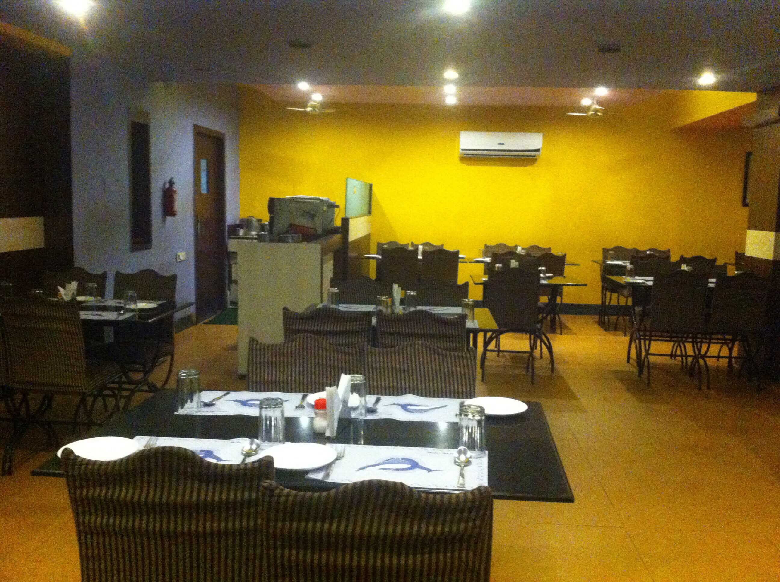 Dolphin - Chandrasekharpur - Bhubaneswar Image