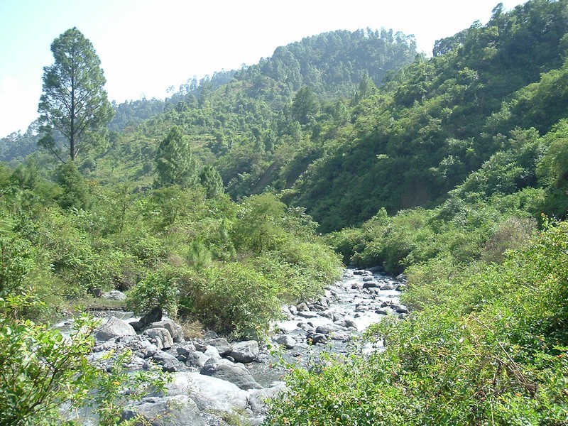 Jeolikot - Nainital Image