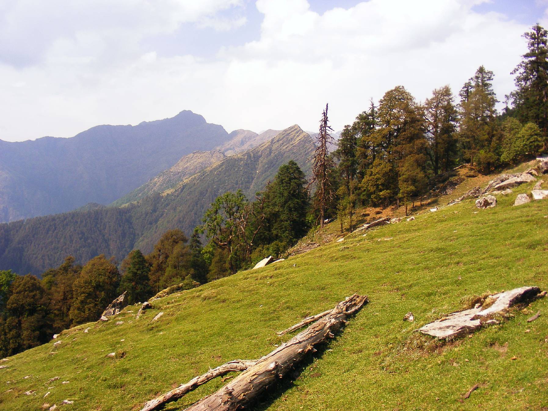 Chopta Image