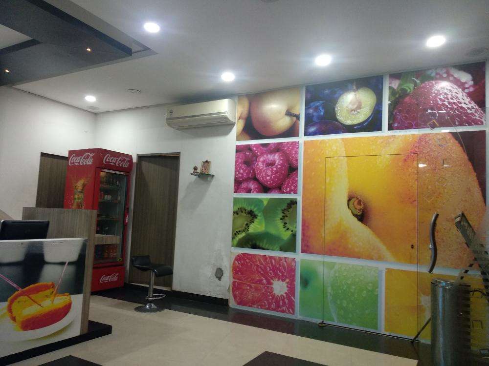 Go Pure Natural Ice Creams - City Centre - Udaipur Image