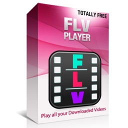 FLV Player Image