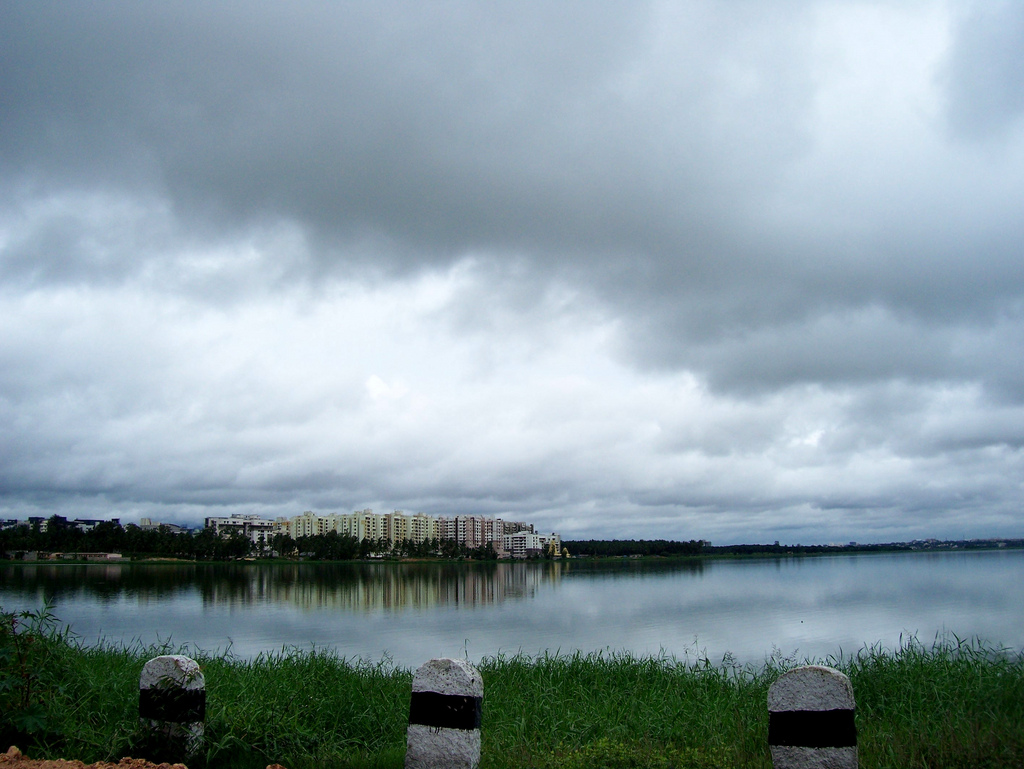 Bellandur Lake - Bangalore Image