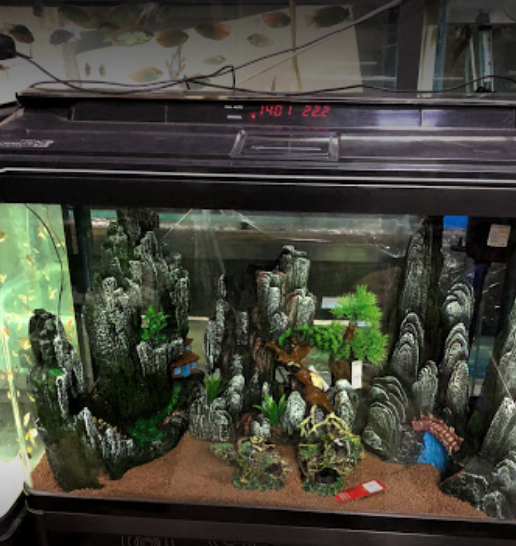 Vasavi Aquarium - Chamarajpet - Bangalore Image