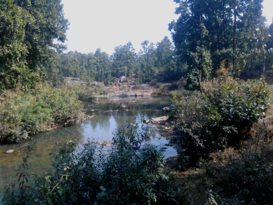 Muta Crocodile Breeding Centre - Ranchi Image