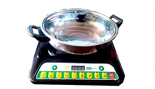 Green Apple Induction Cooker Image