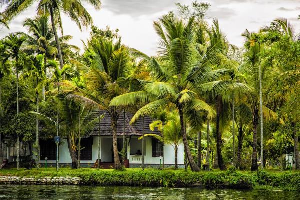 Palmy Lake Resort - Alleppey - Alappuzha Image