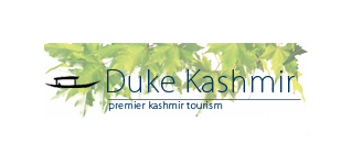 Duke Kashmir Travels - Srinagar Image