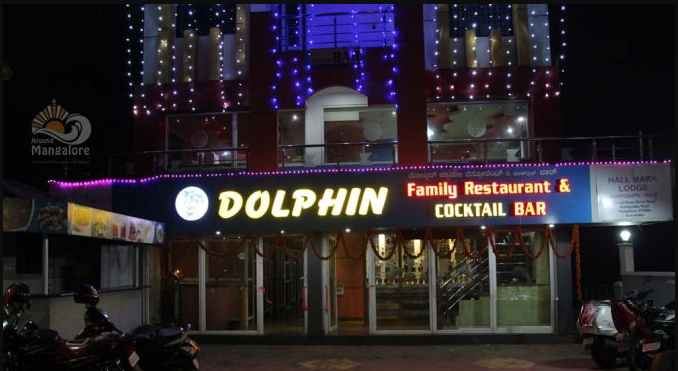 Dolphin - Mallikatte - Mangalore Image