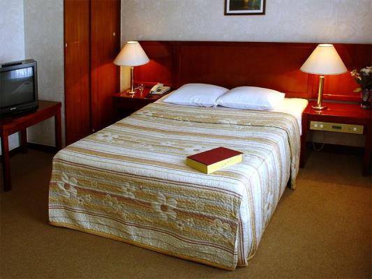 Shrutee Hotel - Cuttack Road - Bhubaneswar Image