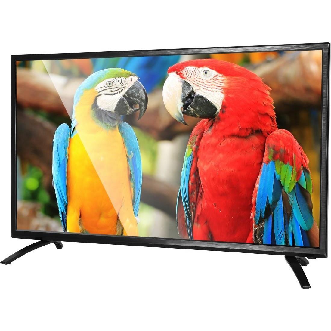 NOBLE 32CV32PBN01 80 cm (31.5) LED TV (HD Ready) Image