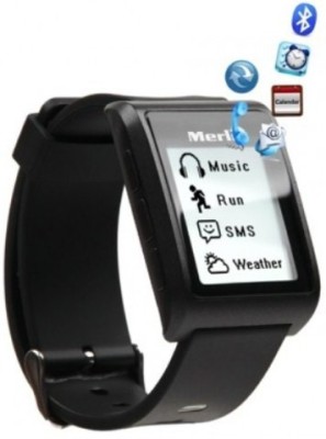 Merlin V2 Smartwatch Image