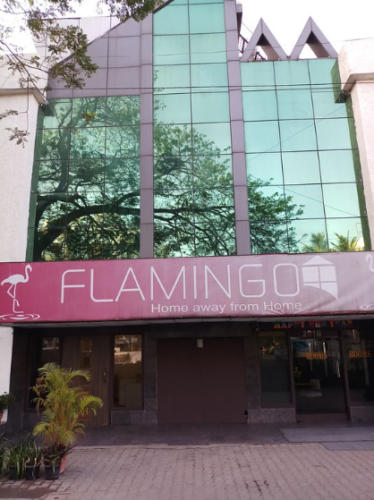 Flamingo - Anna Nagar - Chennai Image