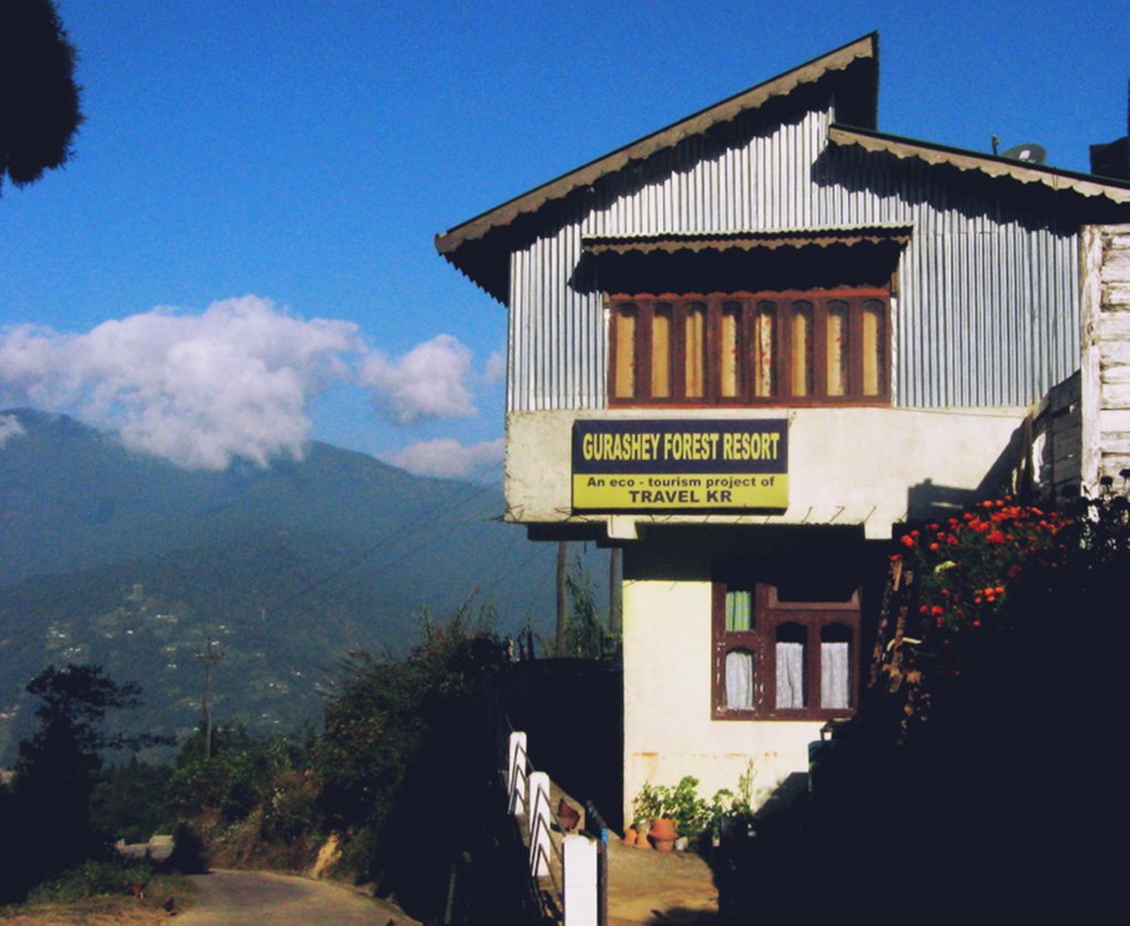 Gurashey Forest Resort - Hiapokhri - Darjeeling Image