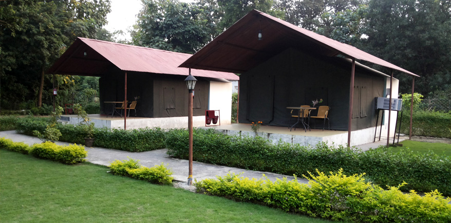 The Palms Resort - Raiwala - Dehradun Image