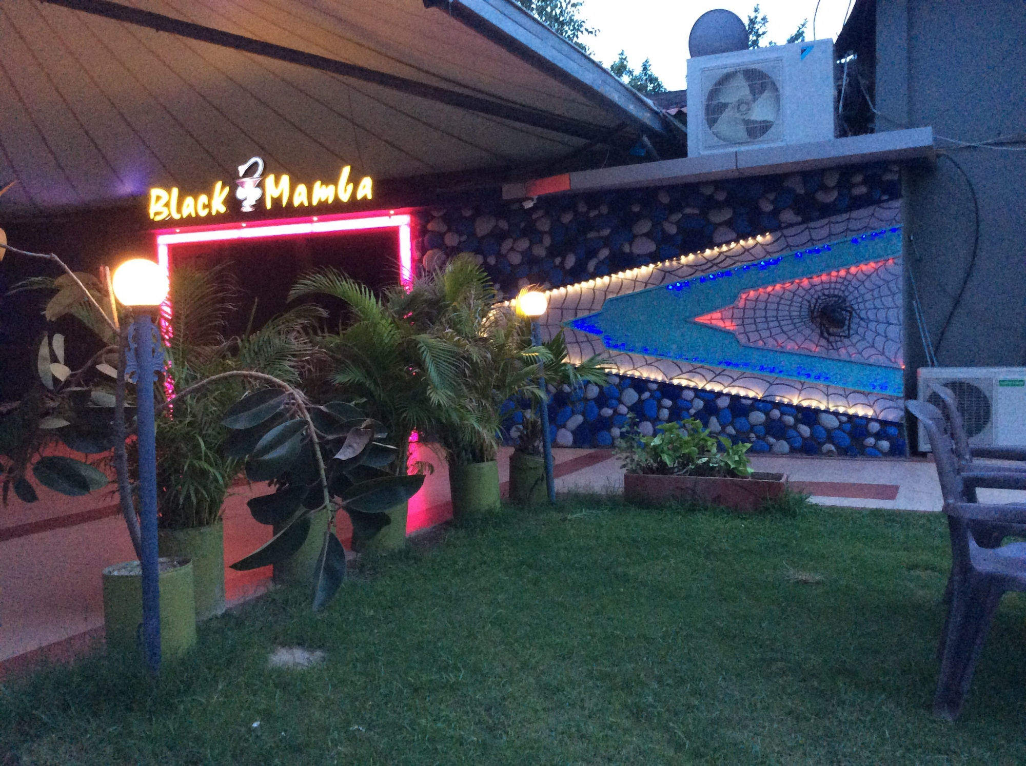 Black Mamba Pub & Club - Gulmohar Colony - Bhopal Image