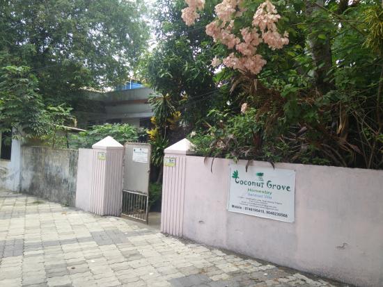 Coconut Grove Homestay - Vadathazha Lane - Kochi Image