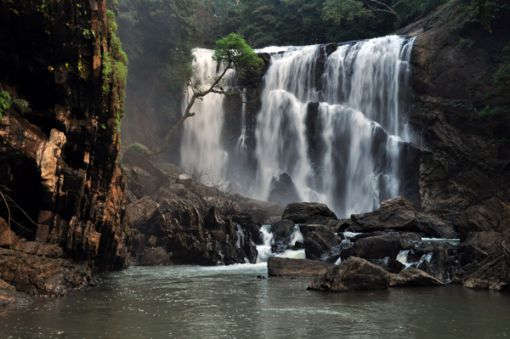 Dandeli Image