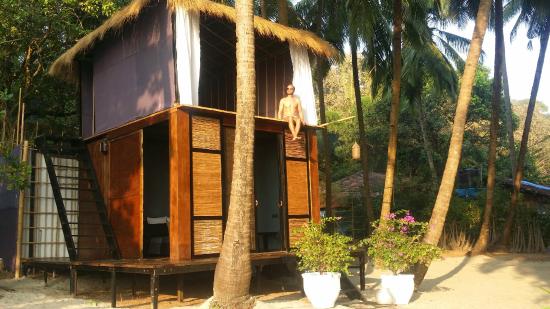 The Turtle Lounge - Canacona - Goa Image