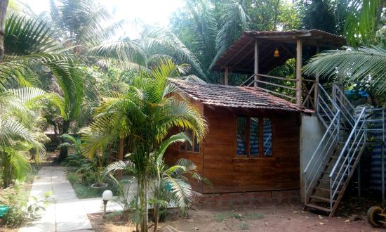 Xavier Cafe & Cottages - Morjim - Goa Image