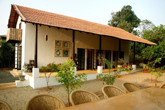 Kaju Varo - Mandrem - Goa Image